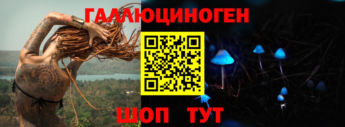 Псилоцибиновые грибы Cubensis Пыть-Ях